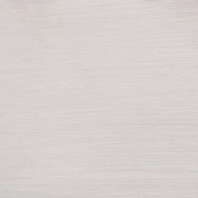 Westinghouse 63279 - Plafoniera MORRISON 2xE27/40W/230V