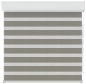 Tenda a rullo giorno / notte Orleans grigio beige 70x190 cm