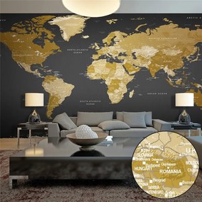 Fotomurale XXL World Map: Modern Geography II