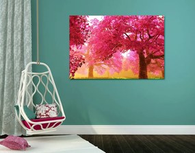 Quadro su tela – Magici alberi di ciliegio in fiore