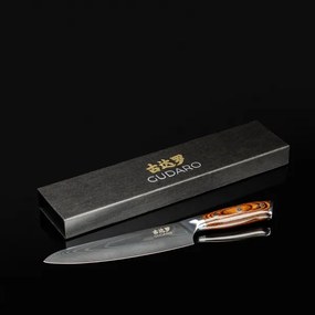 Gudaro - Coltello da chef in acciaio damasco FENG 8", 67 strati d'acciaio, lunghezza 20 cm