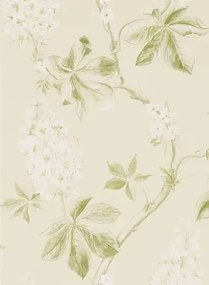 Tapete Chestnut Tree von Sanderson - Lemon/ Lettuce