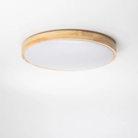 Brilagi - Plafoniera LED dimmerabile PINE LED/24W/230V + telecomando