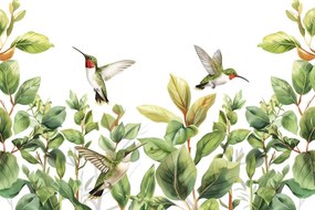 Carta da parati – Colibrì e foglie