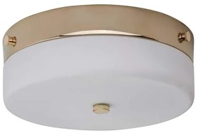 Elstead TAMAR-F-M-PG-Plafoniera LED da bagno TAMAR 1xGX53/5,7W/230V IP44