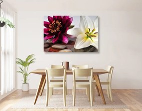 Stampa su tela – Fiori in ciotola con pietre Zen