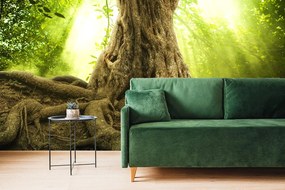 Carta da parati – Radice dell'albero