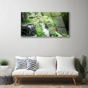 Quadro su vetro Impianto naturale di Grass Creek 100x50 cm