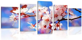 Quadri 5 pezzi – Fiore di ciliegio