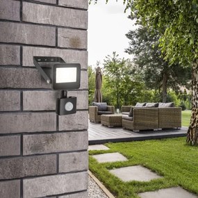 Rabalux 7066 - Riflettore LED con sensore FLOOD LED/10W/230V 4000K IP44 nero
