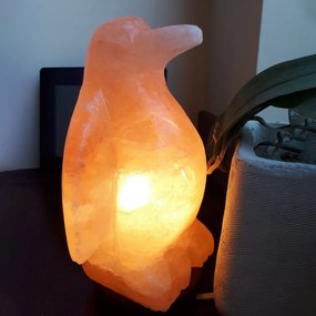 Lampada di Sale Himalayano Rosa naturale a forma di Pinguino