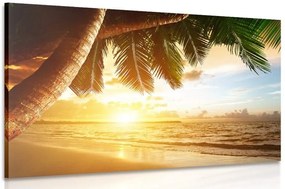 Quadro su tela – Alba sulla spiaggia caraibica