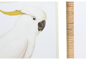 Quadro DKD Home Decor Tropicale Uccelli (50 x 2,5 x 60 cm) (4 Unità)