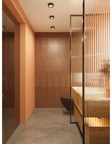 MAXLIGHT C0204 - Plafoniera LED da bagno KODAK LED/8W/230V IP44 nero