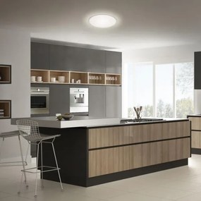 Briloner 3046-014 - Plafoniera LED LED/15W/230V 4000K diametro 28 cm argento