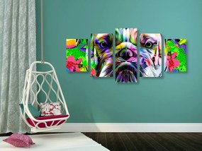 Quadri 5 pezzi – Pop-art bulldog