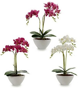 Pianta Decorativa Orchidea 16 x 49 x 28 cm Plastica (4 Unità)