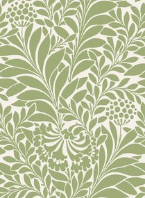 Cole & Son Carta da parati Honeysuckle - Spring Green