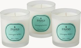 Set di 3 candele profumate fatte a mano Vintage Aromatherapy (citronella, menta e agrumi)