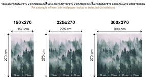 Carta da parati autoadesiva – Aurora boreale nordica