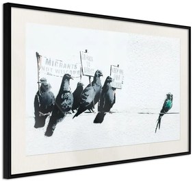 Poster  Banksy: Pigeons  Cornice Quadri Cornice nera con pass-partout, Larghezza x Altezza Home decor 30x20