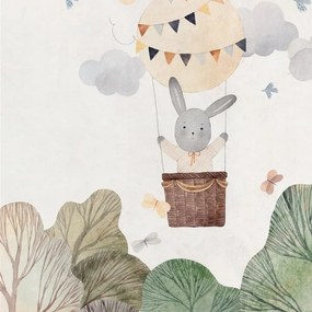 Fotomurale Baloon, multicolore 371X280 cm