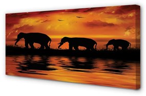 Stampa quadro su tela Lago di West Elephants 100x50 cm