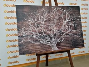 Stampa su tela – Corona dell'albero su sfondo di legno