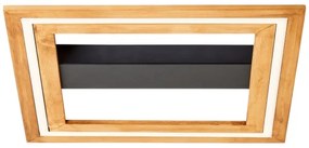 Brilliant-Plafoniera LED dimmerabile RHEA LED/24W/230V