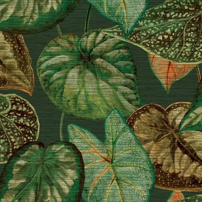 Carta da parati Tahiti Foglia  verde, 53 cm x 10 m