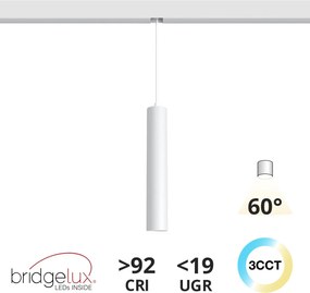 Lampada a Sospensione 10W Magnetica CCT CRI92 Bianca Colore Bianco Variabile CCT