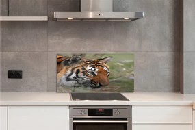 Pannello paraschizzi cucina Foresta della tigre 100x50 cm