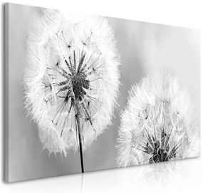 Quadro Fluffy Dandelions (1 Part) Grey Wide  Colore bianco e nero, Dimensioni e Misure 100x45