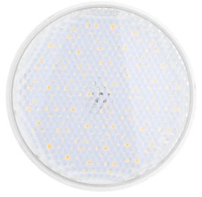 Lampada LED PAR30 12W 110° Colore Bianco Freddo 6.000K