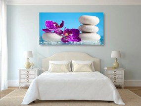 Quadro su tela – Natura morta per il benessere