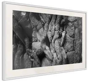 Poster  Strong Roots  Cornice Quadri Cornice nera con pass-partout, Larghezza x Altezza Home decor 60x40