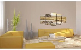 Quadro Zebre nella savana  Colore Marrone, Dimensioni e Misure 100x50