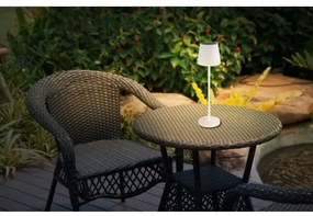 Globo 36637W - Lampada LED solare SOLAR LED/0,6W/3V 3000K IP44 bianco