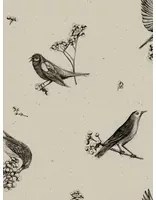 Coordonne Carta da parati Sweet Birds - Black