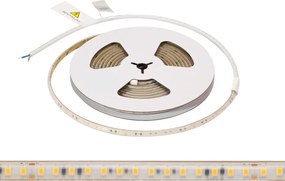Striscia LED 220V 16W/m IP66 Dimmerabile Professional - Taglio 10cm – 5m