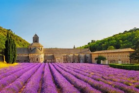 Carta da parati – Provenza con campi di lavanda