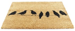 Zerbino in fibre di cocco 60x90 cm Birds On a Wire – Artsy Doormats