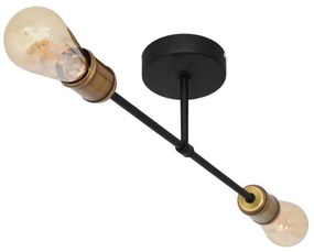 Lampadario a plafone CAMBRIDGE 2xE27/15W/230V nero/oro