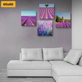 Set di quadri – Campo di lavanda