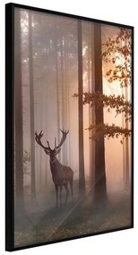 Poster  Forest Seclusion  Cornice Quadri Cornice nera, Larghezza x Altezza Home decor 40x60