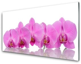Rivestimento parete cucina Fiori di orchidea rosa 100x50 cm
