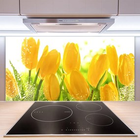 Schienali cucina Tulipani, fiori, piante 100x50 cm