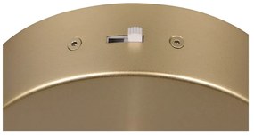 Lampadario LED dorato ø 30 cm Cala – Trio Select