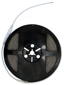 Striscia LED Professional 2835/224 - IP67 - 25W/m - 2.900lm/m- 5m - 24V Colore Bianco Naturale 4.000K