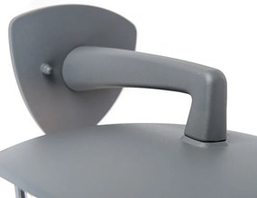 Lanterna da parete classica per esterni con luce verso il basso grigio scuro IP44 - Platar